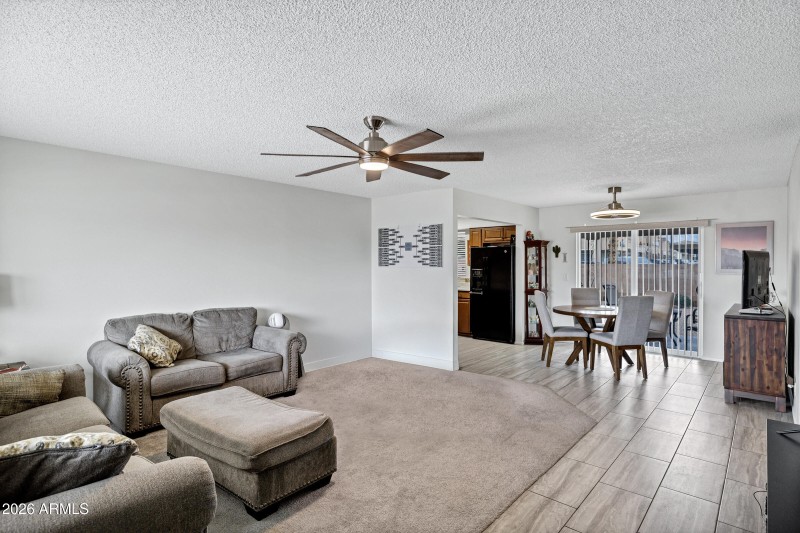 1155 S St Paul-5