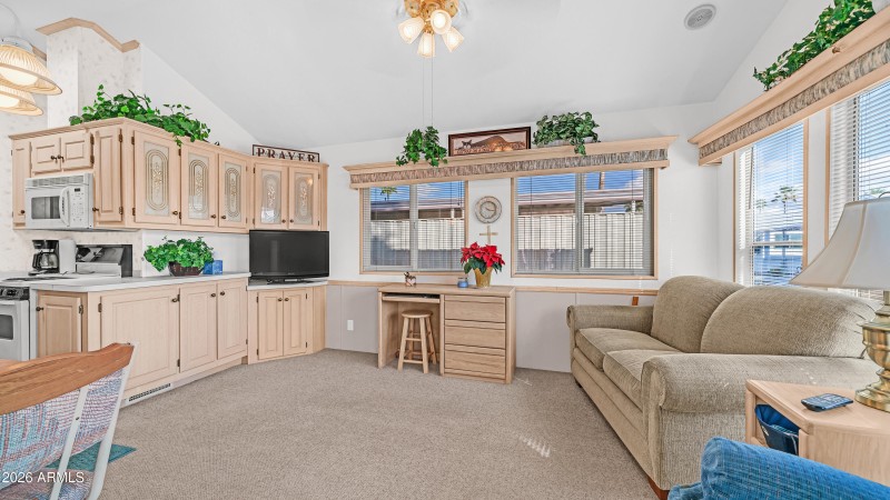 3710 S Goldfield Rd Lot 1017 (1)