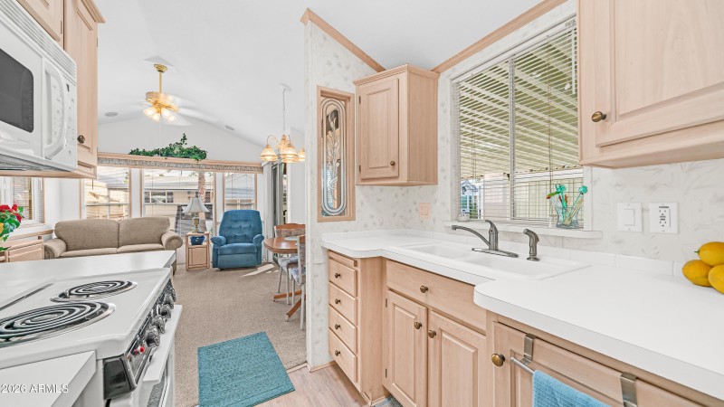 3710 S Goldfield Rd Lot 1017 (7)