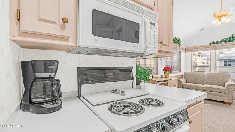 3710 S Goldfield Rd Lot 1017 (8)