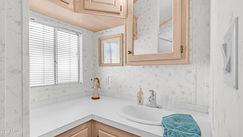 3710 S Goldfield Rd Lot 1017 (13)