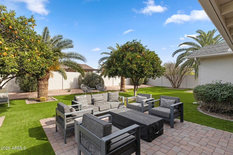 Backyard