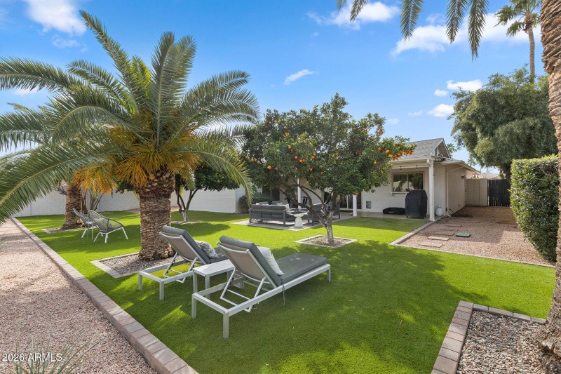 Backyard