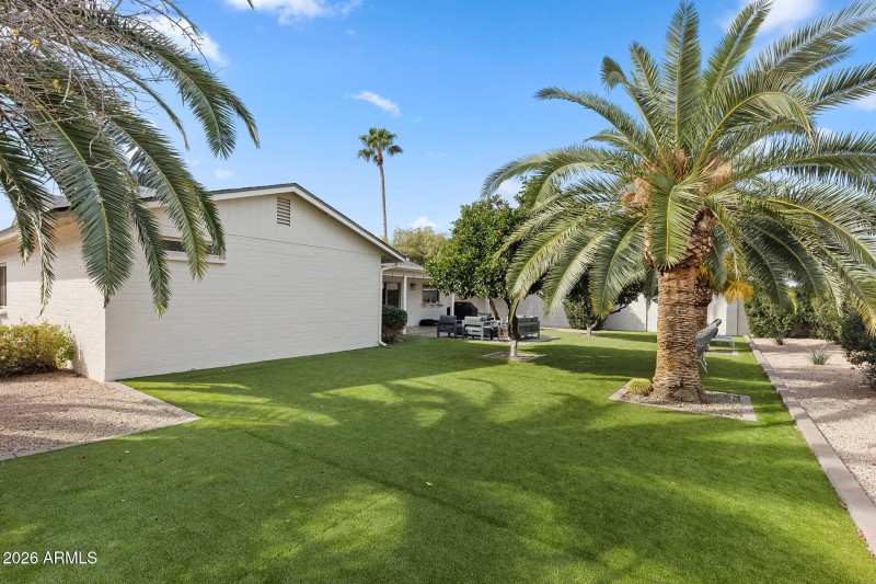 Backyard