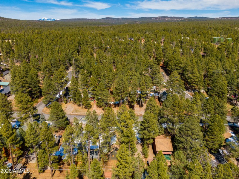 115 Lodge Dr & Munds Park