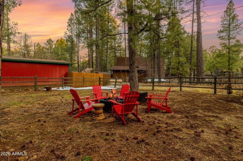Exterior Backyard
