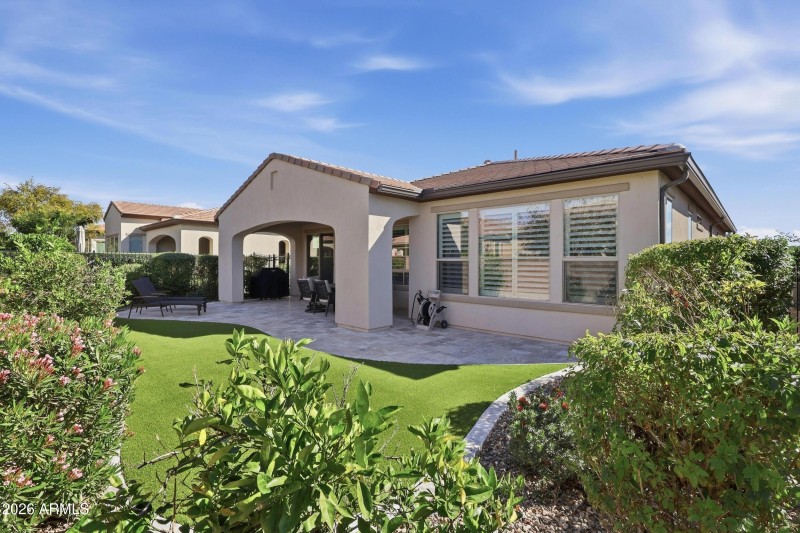 Mature Back Yard