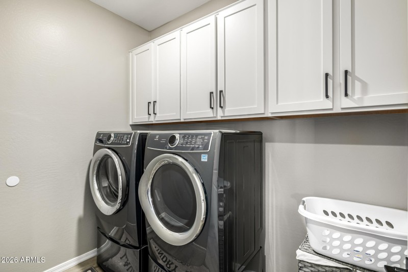 41 - Stargazer