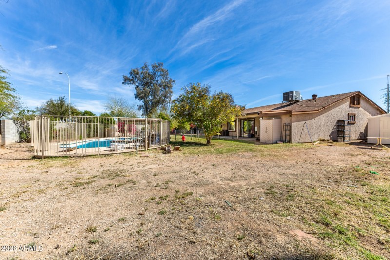 Backyard