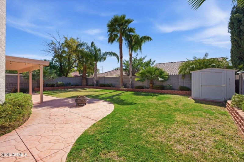 Backyard