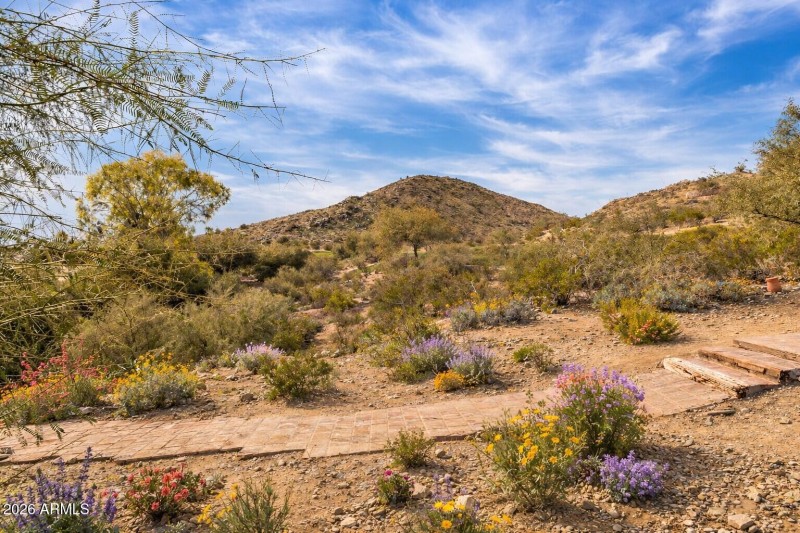 Desert Path