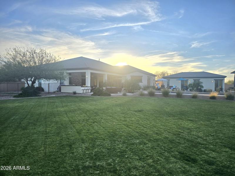 grass backyard 2