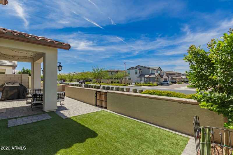 Backyard