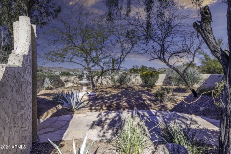Front Yard