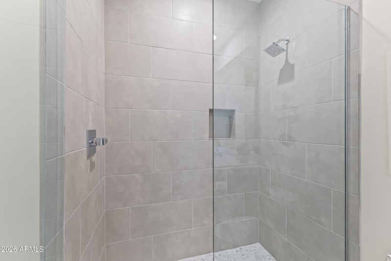 Suite #5 shower