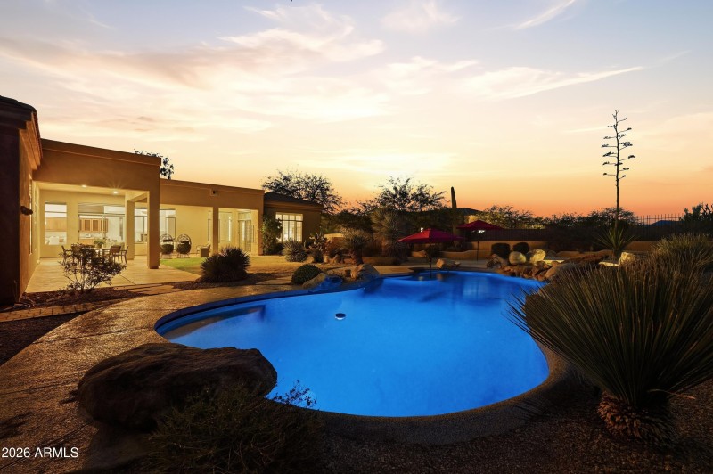 Night Back Yard