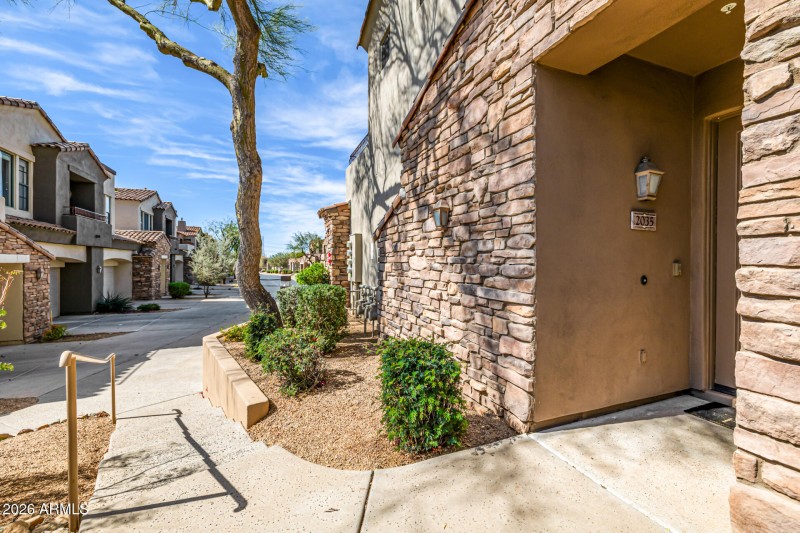 03 - Grayhawk