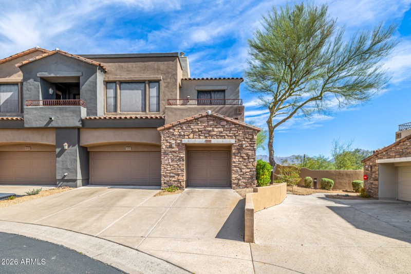 37 - Grayhawk