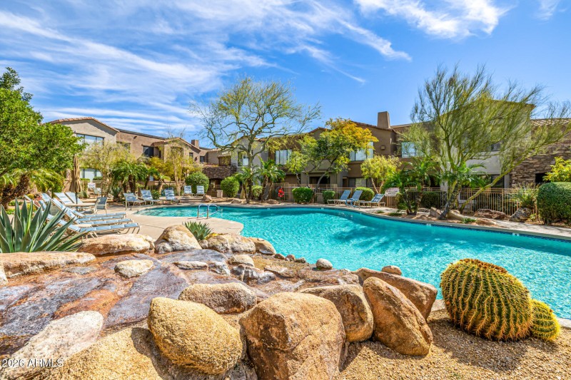 41 - Grayhawk