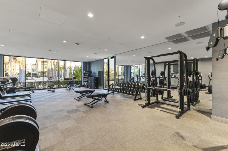 Gym Equipment