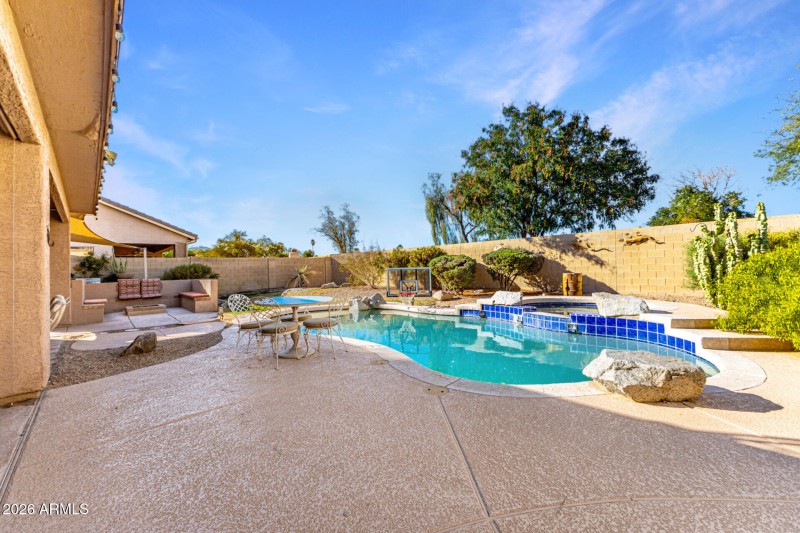 Back yard Oasis