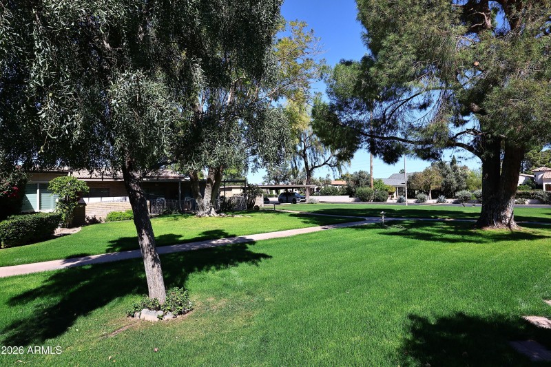 Common Area behind Home