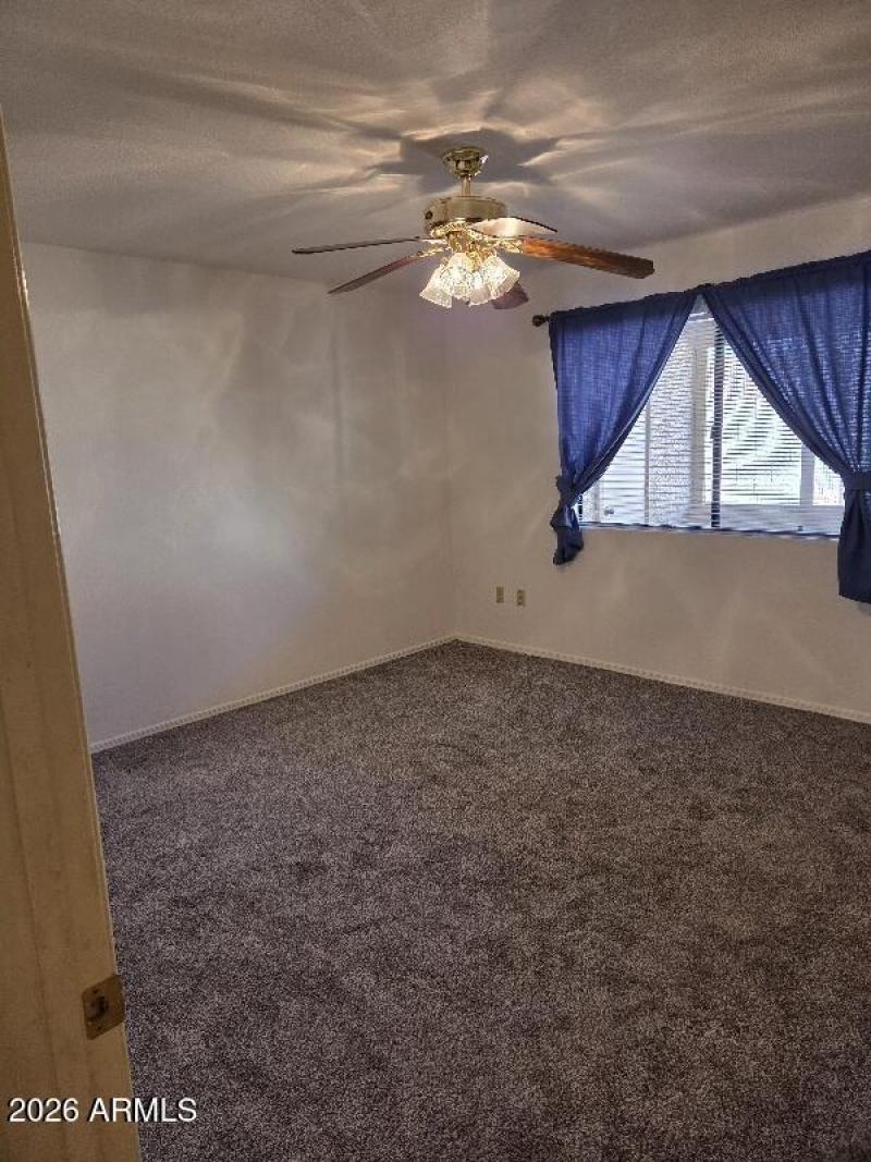 NEW CARPET