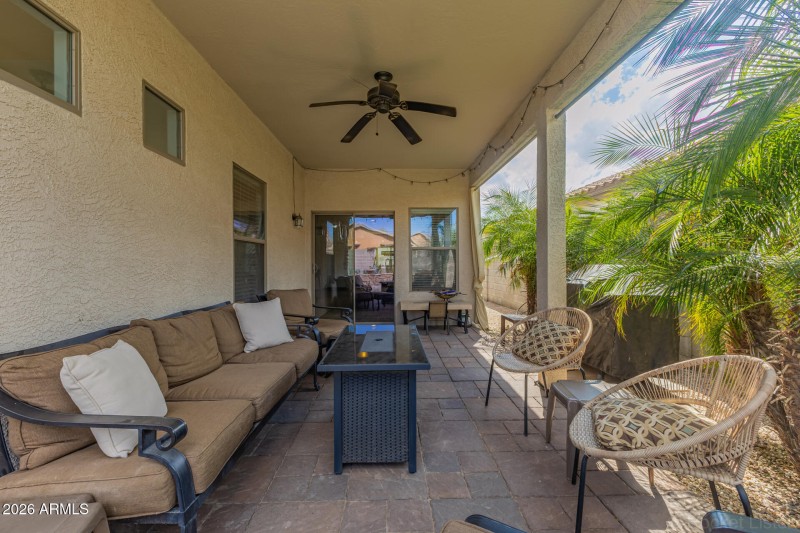 23 Backyard