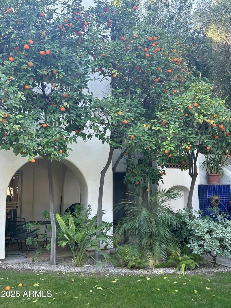 Citrus