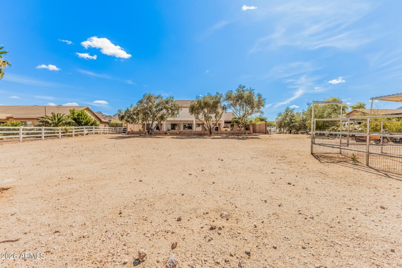19 Prospector