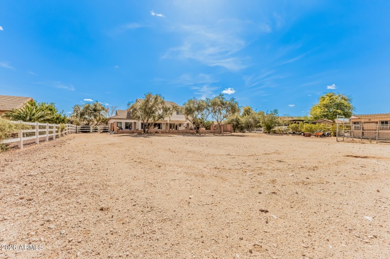 20 Prospector