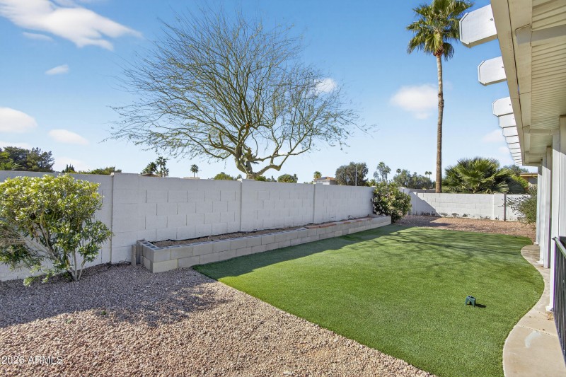 Backyard