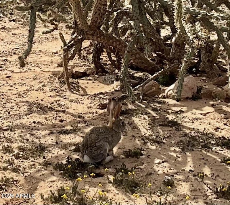 Friendly Neighbors