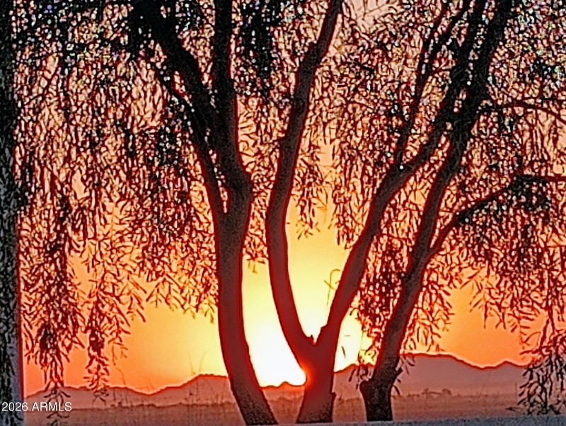 SUNRISE VIEW