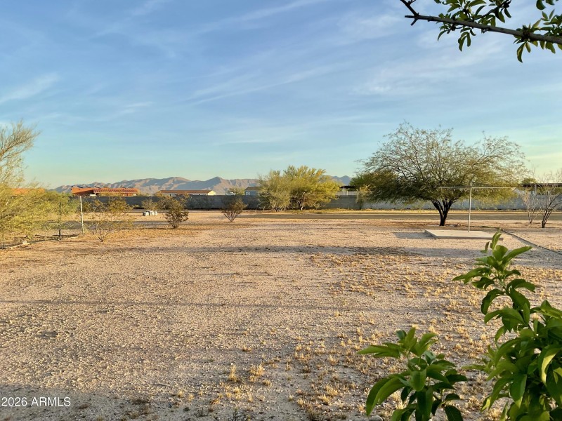 Why Wittmann? Yes!