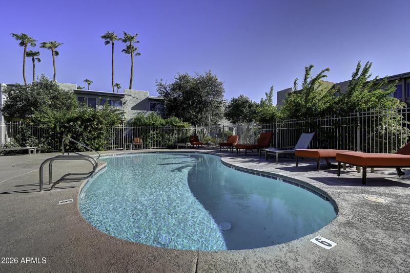 479 Pool 5