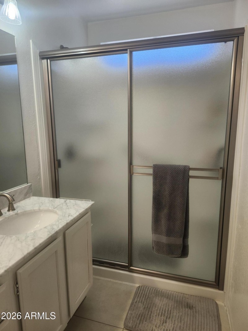Primary Walk-in Shower