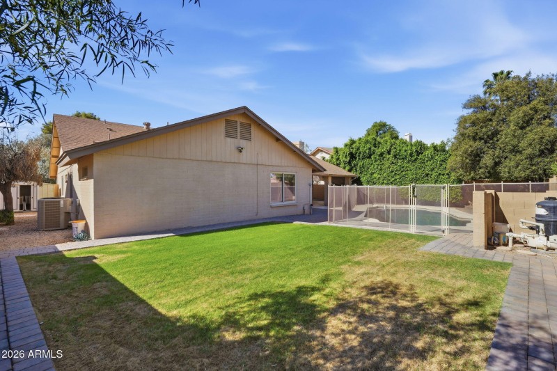 Backyard