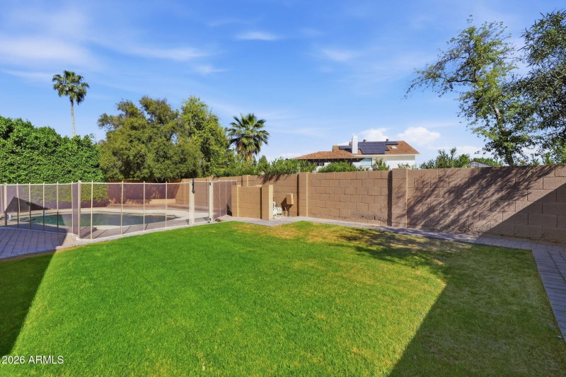 Backyard