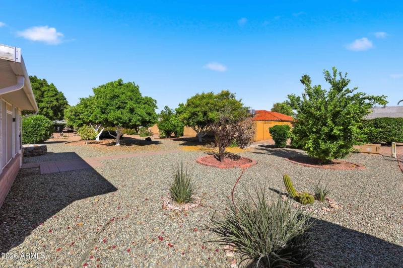 Backyard Elevation