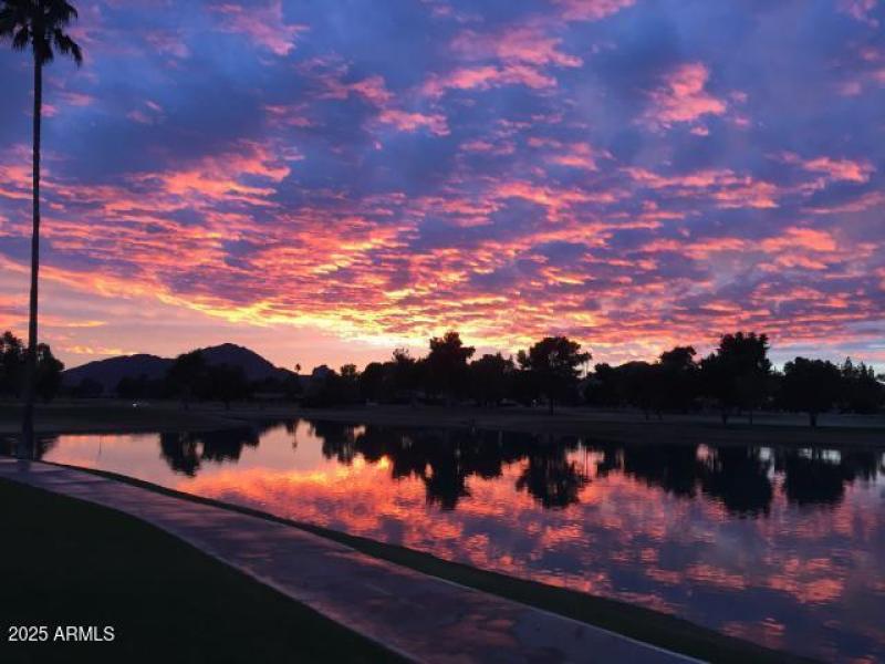 stunning skies