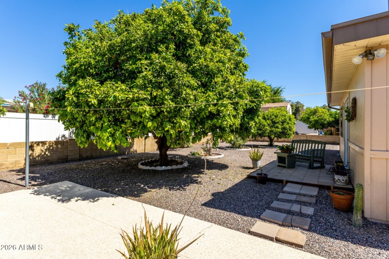 Fruit trees