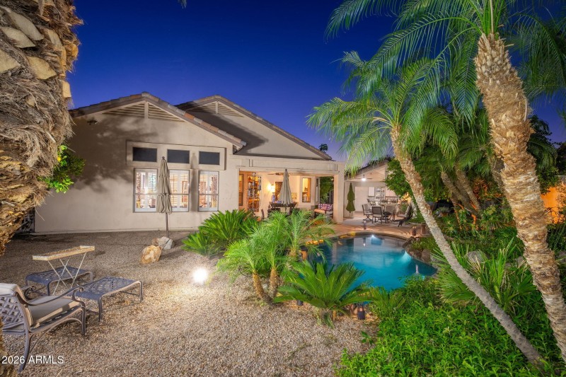 Backyard Oasis