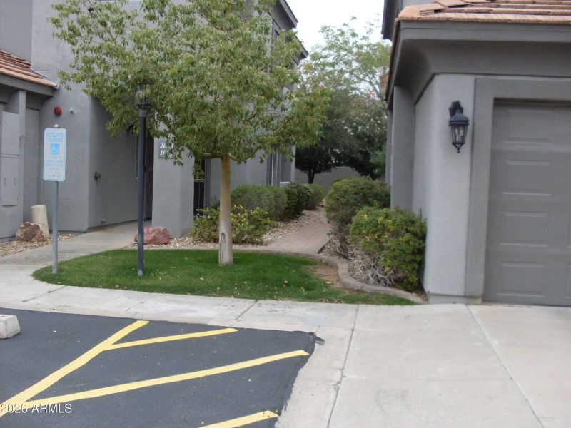 SDC11153