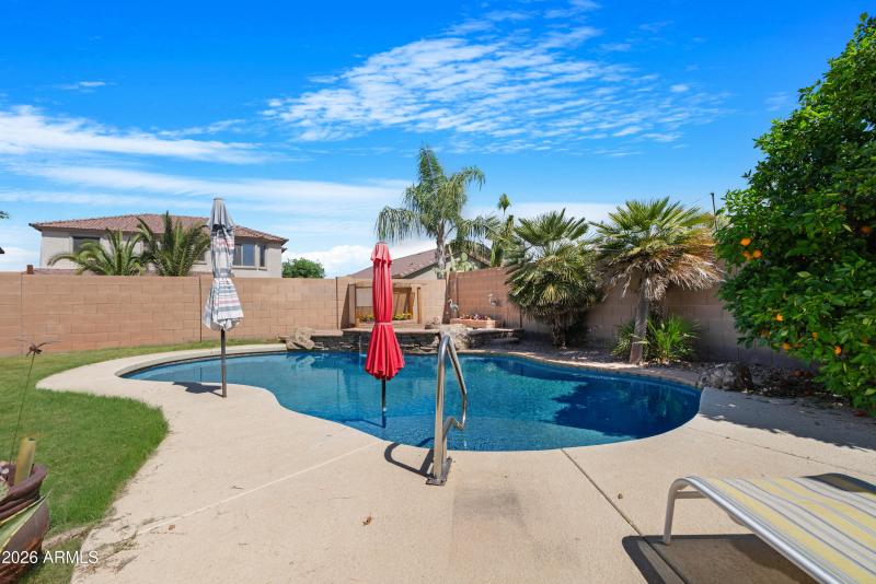 Backyard 5