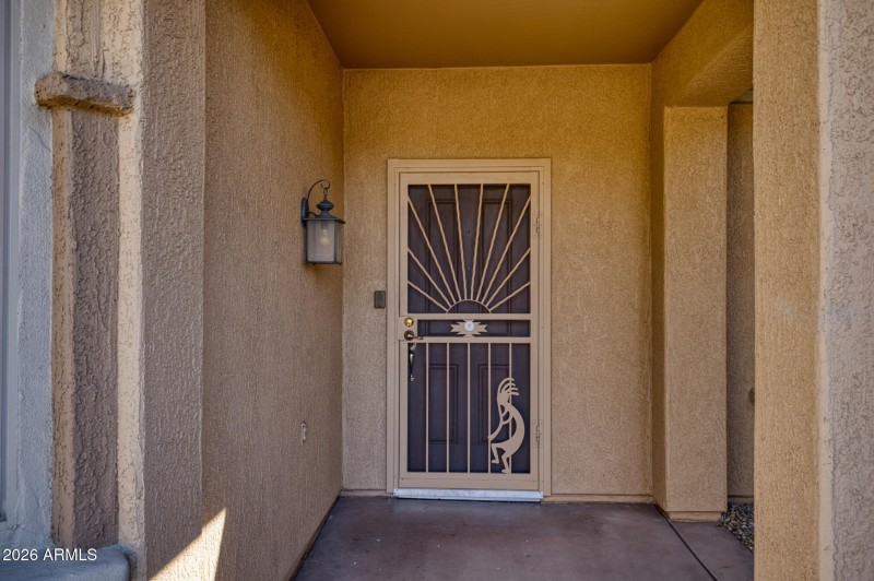 Front Security Door