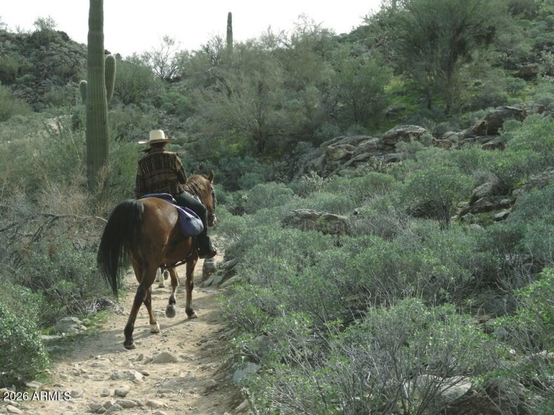 WTMRP - horseback