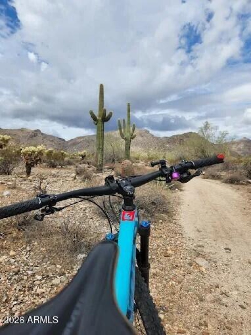 WTMRP - bike