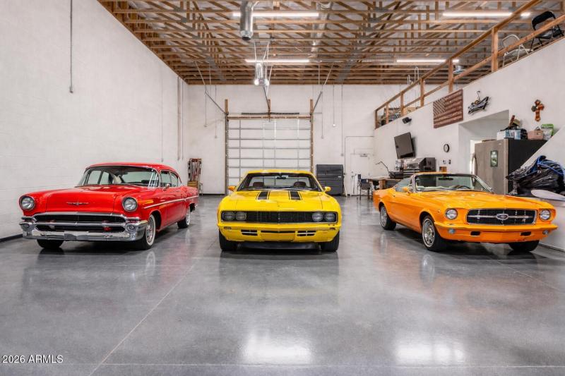 Car Collector