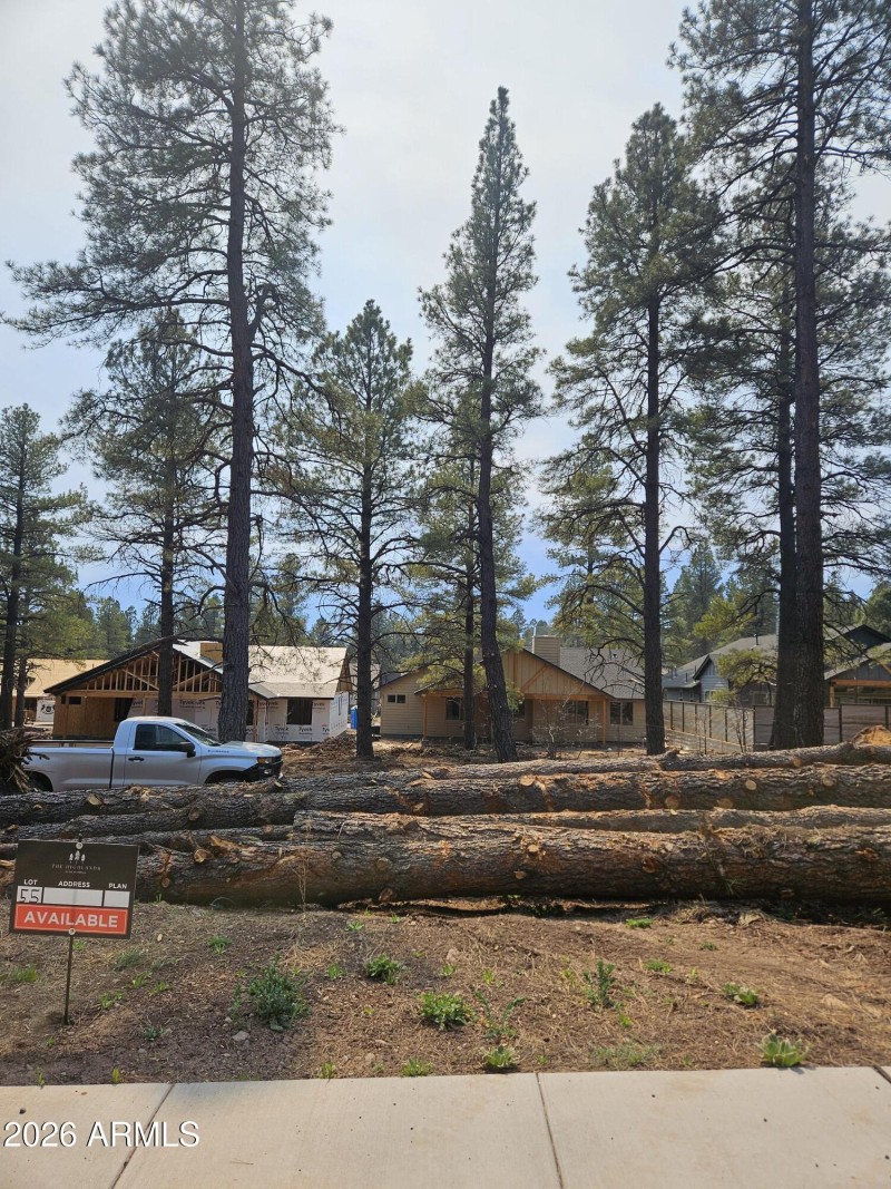 Lot 55